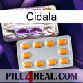 Cidala new12